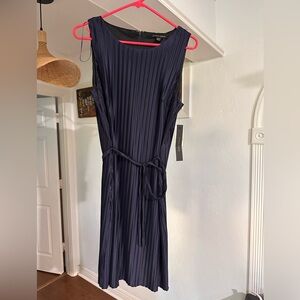 Cynthia Steffe Navy Pleated Midi Dress